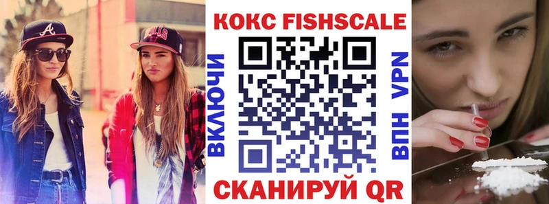 Cocaine Fish Scale  ОМГ ОМГ ссылка  Краснодар 