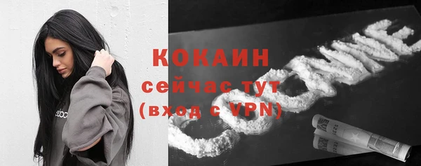 тгк Абаза