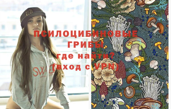 гидропоника Абдулино