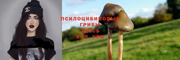 соль ск Абинск